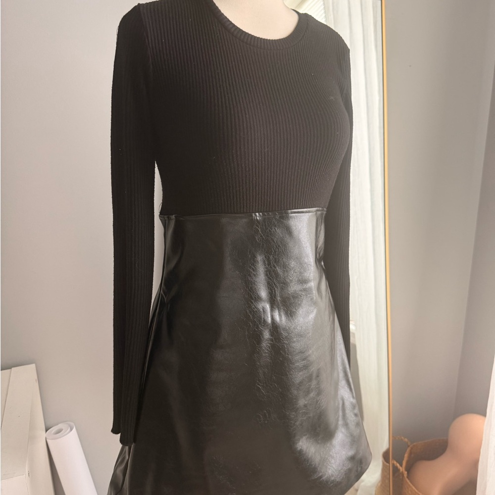 Zara Mini Dress With Black Ribbed Top & Faux Leather Skirt